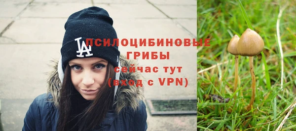 прущие крисы Касимов