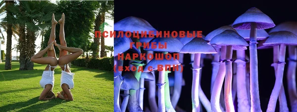 спайс Карпинск